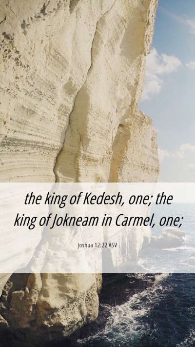 Picture 06 - Joshua 12:22 ASV Mobile Phone Wallpaper - the king of Kedesh, one; the king of Jokneam in - Mobile Bible Verse Wallpaper