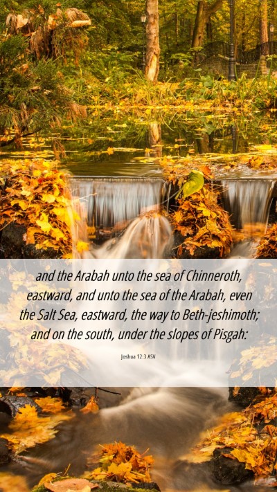 Picture 06 - Joshua 12:3 ASV Mobile Phone Wallpaper - and the Arabah unto the sea of Chinneroth, - Mobile Bible Verse Wallpaper