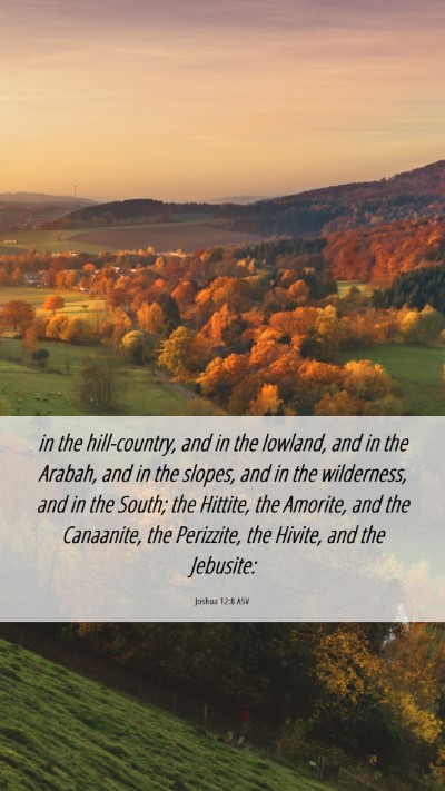 Picture 06 - Joshua 12:8 ASV Mobile Phone Wallpaper - in the hill-country, and in the lowland, and in - Mobile Bible Verse Wallpaper