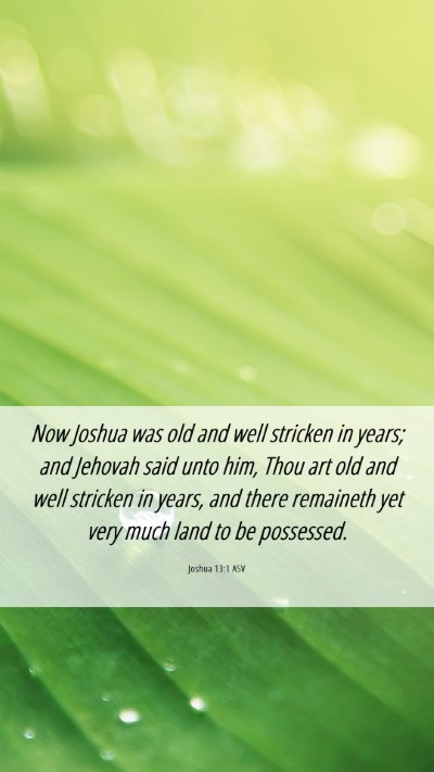 Picture 06 - Joshua 13:1 ASV Mobile Phone Wallpaper - Now Joshua was old and well stricken in years; - Mobile Bible Verse Wallpaper
