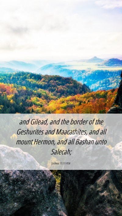 Picture 06 - Joshua 13:11 ASV Mobile Phone Wallpaper - and Gilead, and the border of the Geshurites and - Mobile Bible Verse Wallpaper