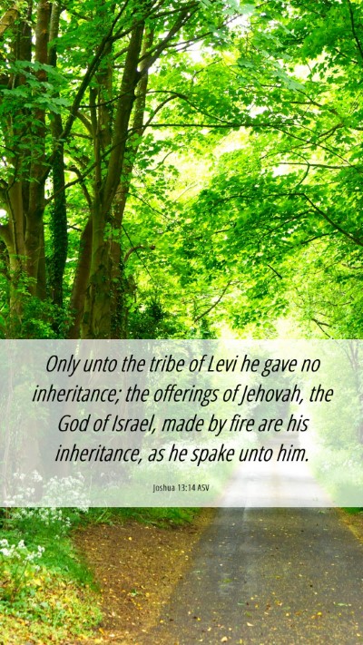 Picture 06 - Joshua 13:14 ASV Mobile Phone Wallpaper - Only unto the tribe of Levi he gave no - Mobile Bible Verse Wallpaper