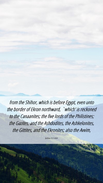 Picture 06 - Joshua 13:3 ASV Mobile Phone Wallpaper - from the Shihor, which is before Egypt, even unto - Mobile Bible Verse Wallpaper