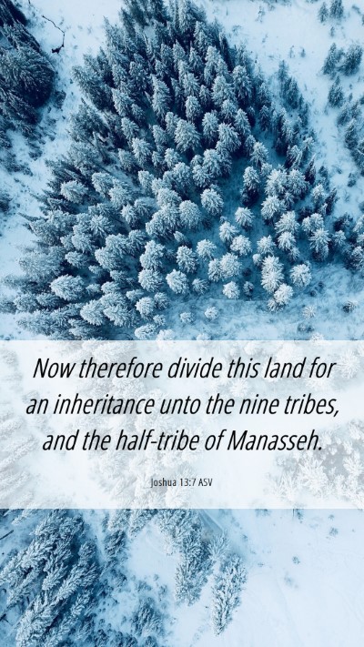 Picture 06 - Joshua 13:7 ASV Mobile Phone Wallpaper - Now therefore divide this land for an inheritance - Mobile Bible Verse Wallpaper