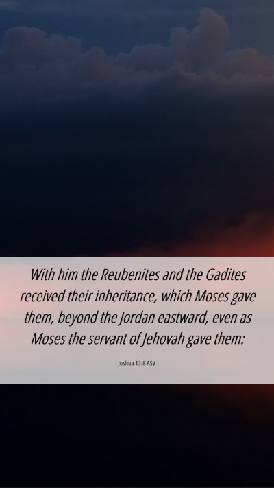 Picture 06 - Joshua 13:8 ASV Mobile Phone Wallpaper - With him the Reubenites and the Gadites received - Mobile Bible Verse Wallpaper