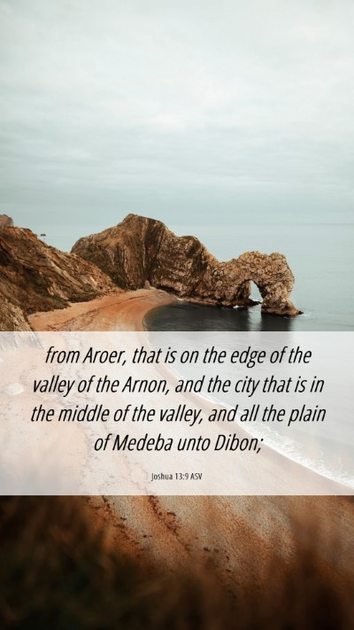Picture 06 - Joshua 13:9 ASV Mobile Phone Wallpaper - from Aroer, that is on the edge of the valley of - Mobile Bible Verse Wallpaper