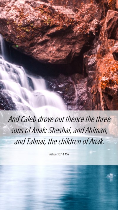 Picture 06 - Joshua 15:14 ASV Mobile Phone Wallpaper - And Caleb drove out thence the three sons of - Mobile Bible Verse Wallpaper