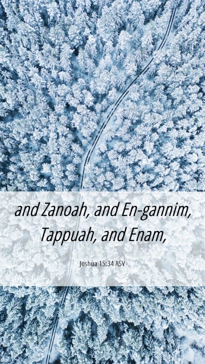 Picture 06 - Joshua 15:34 ASV Mobile Phone Wallpaper - and Zanoah, and En-gannim, Tappuah, and - Mobile Bible Verse Wallpaper