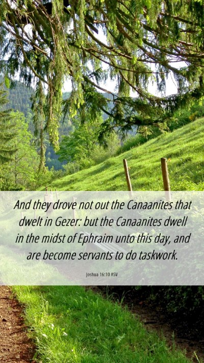 Picture 06 - Joshua 16:10 ASV Mobile Phone Wallpaper - And they drove not out the Canaanites that dwelt - Mobile Bible Verse Wallpaper
