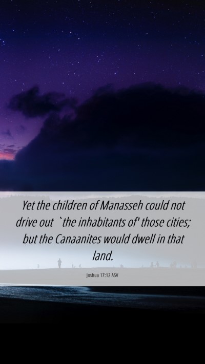 Picture 06 - Joshua 17:12 ASV Mobile Phone Wallpaper - Yet the children of Manasseh could not drive out - Mobile Bible Verse Wallpaper