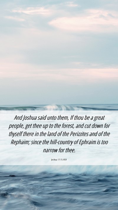 Picture 06 - Joshua 17:15 ASV Mobile Phone Wallpaper - And Joshua said unto them, If thou be a great - Mobile Bible Verse Wallpaper