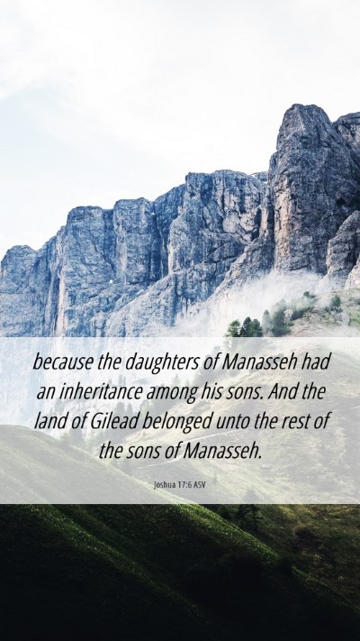 Picture 06 - Joshua 17:6 ASV Mobile Phone Wallpaper - because the daughters of Manasseh had an - Mobile Bible Verse Wallpaper