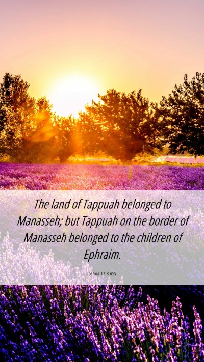 Picture 06 - Joshua 17:8 ASV Mobile Phone Wallpaper - The land of Tappuah belonged to Manasseh; but - Mobile Bible Verse Wallpaper