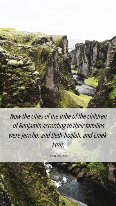 Picture 06 - Joshua 18:21 ASV Mobile Phone Wallpaper - Now the cities of the tribe of the children of - Mobile Bible Verse Wallpaper