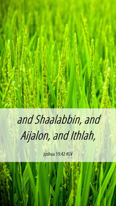 Picture 06 - Joshua 19:42 ASV Mobile Phone Wallpaper - and Shaalabbin, and Aijalon, and - Mobile Bible Verse Wallpaper