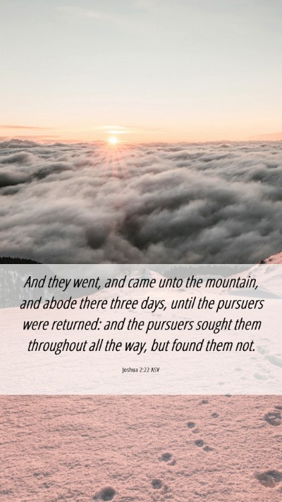 Picture 06 - Joshua 2:22 ASV Mobile Phone Wallpaper - And they went, and came unto the mountain, and - Mobile Bible Verse Wallpaper