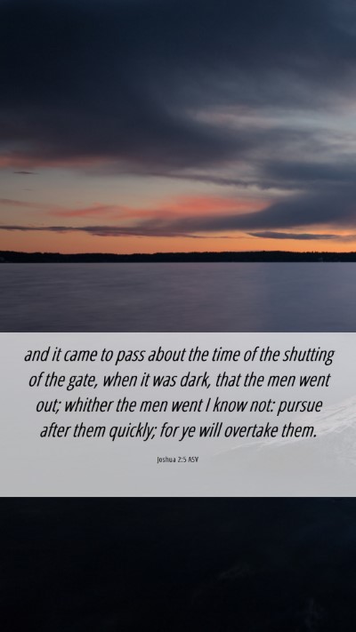 Picture 06 - Joshua 2:5 ASV Mobile Phone Wallpaper - and it came to pass about the time of the - Mobile Bible Verse Wallpaper