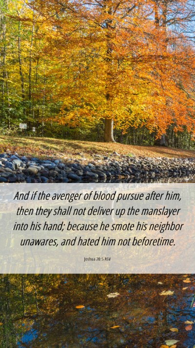 Picture 06 - Joshua 20:5 ASV Mobile Phone Wallpaper - And if the avenger of blood pursue after him, - Mobile Bible Verse Wallpaper
