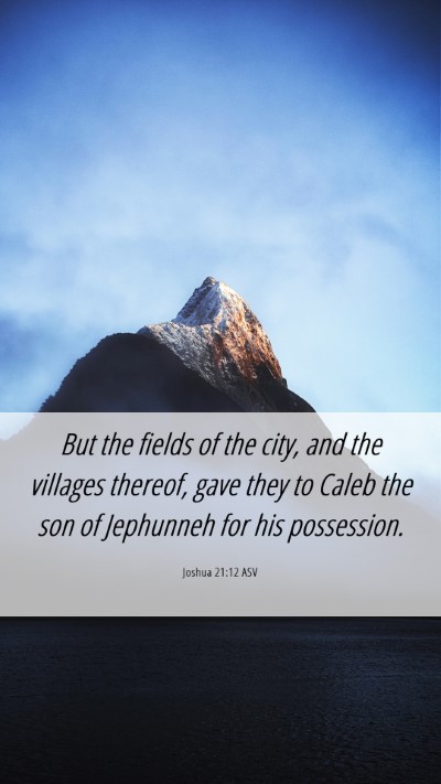 Picture 06 - Joshua 21:12 ASV Mobile Phone Wallpaper - But the fields of the city, and the villages - Mobile Bible Verse Wallpaper