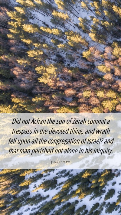 Picture 06 - Joshua 22:20 ASV Mobile Phone Wallpaper - Did not Achan the son of Zerah commit a trespass - Mobile Bible Verse Wallpaper