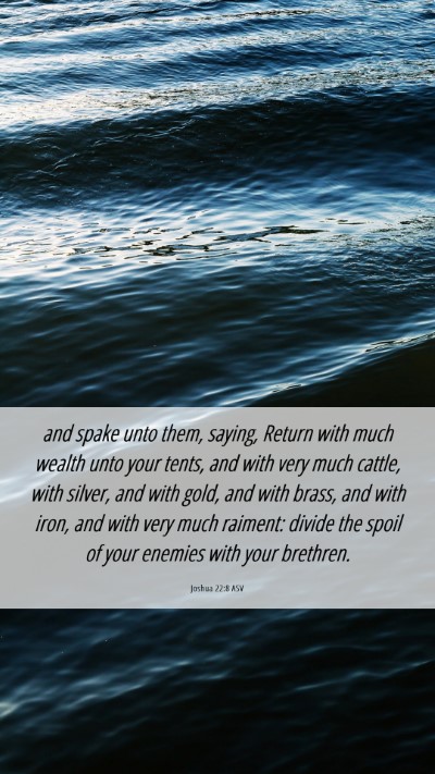 Picture 06 - Joshua 22:8 ASV Mobile Phone Wallpaper - and spake unto them, saying, Return with much - Mobile Bible Verse Wallpaper