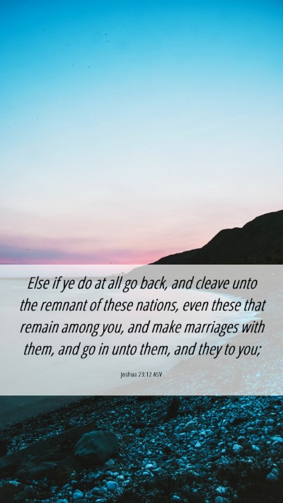 Picture 06 - Joshua 23:12 ASV Mobile Phone Wallpaper - Else if ye do at all go back, and cleave unto the - Mobile Bible Verse Wallpaper