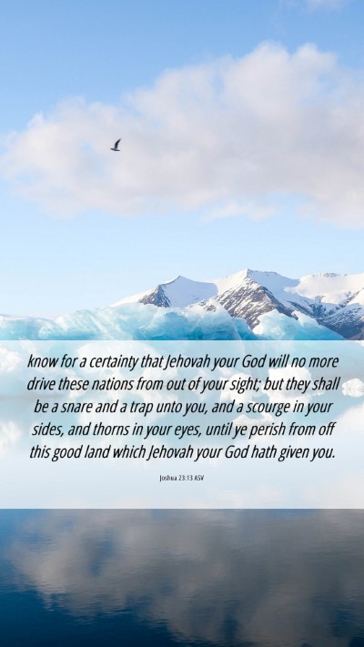 Picture 06 - Joshua 23:13 ASV Mobile Phone Wallpaper - know for a certainty that Jehovah your God will - Mobile Bible Verse Wallpaper