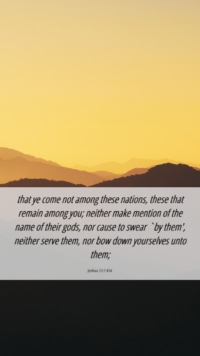 Picture 06 - Joshua 23:7 ASV Mobile Phone Wallpaper - that ye come not among these nations, these that - Mobile Bible Verse Wallpaper