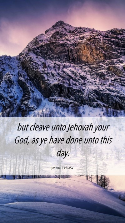 Picture 06 - Joshua 23:8 ASV Mobile Phone Wallpaper - but cleave unto Jehovah your God, as ye have done - Mobile Bible Verse Wallpaper