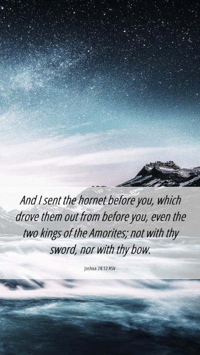 Picture 06 - Joshua 24:12 ASV Mobile Phone Wallpaper - And I sent the hornet before you, which drove - Mobile Bible Verse Wallpaper