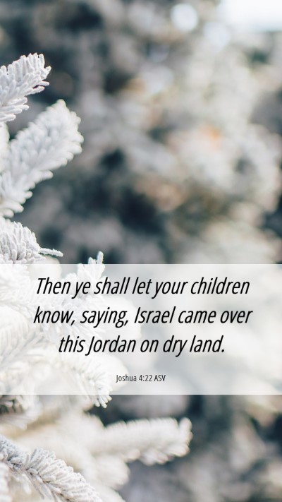 Picture 06 - Joshua 4:22 ASV Mobile Phone Wallpaper - Then ye shall let your children know, saying, - Mobile Bible Verse Wallpaper