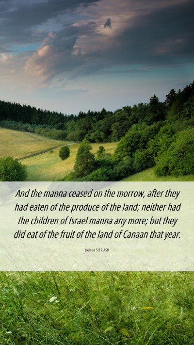 Picture 06 - Joshua 5:12 ASV Mobile Phone Wallpaper - And the manna ceased on the morrow, after they - Mobile Bible Verse Wallpaper
