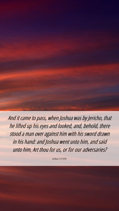 Picture 06 - Joshua 5:13 ASV Mobile Phone Wallpaper - And it came to pass, when Joshua was by Jericho, - Mobile Bible Verse Wallpaper