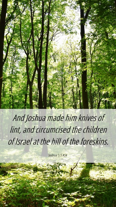 Picture 06 - Joshua 5:3 ASV Mobile Phone Wallpaper - And Joshua made him knives of lint, and - Mobile Bible Verse Wallpaper