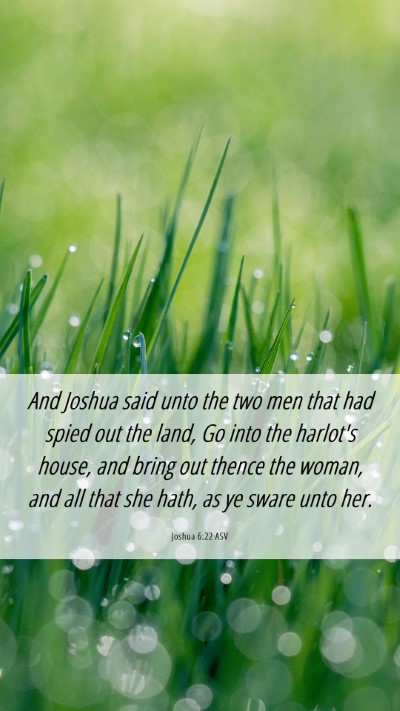 Picture 06 - Joshua 6:22 ASV Mobile Phone Wallpaper - And Joshua said unto the two men that had spied - Mobile Bible Verse Wallpaper
