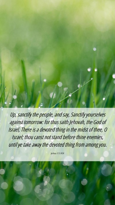 Picture 06 - Joshua 7:13 ASV Mobile Phone Wallpaper - Up, sanctify the people, and say, Sanctify - Mobile Bible Verse Wallpaper