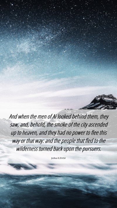 Picture 06 - Joshua 8:20 ASV Mobile Phone Wallpaper - And when the men of Ai looked behind them, they - Mobile Bible Verse Wallpaper