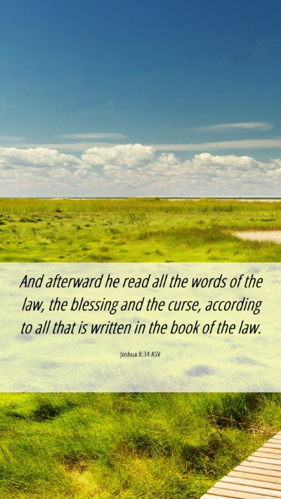 Picture 06 - Joshua 8:34 ASV Mobile Phone Wallpaper - And afterward he read all the words of the law, - Mobile Bible Verse Wallpaper