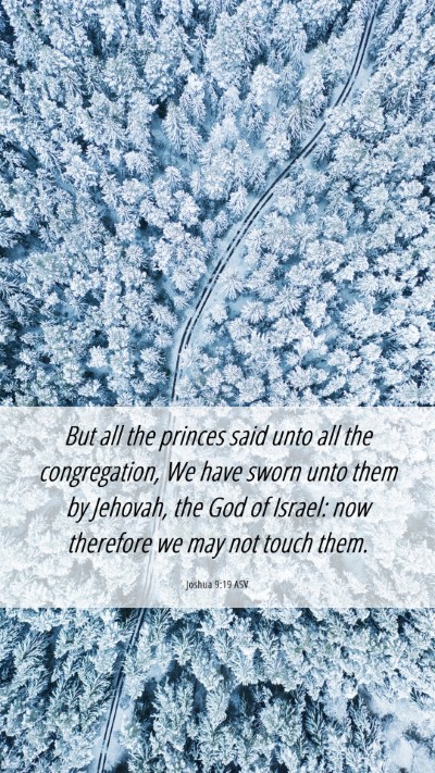 Picture 06 - Joshua 9:19 ASV Mobile Phone Wallpaper - But all the princes said unto all the - Mobile Bible Verse Wallpaper