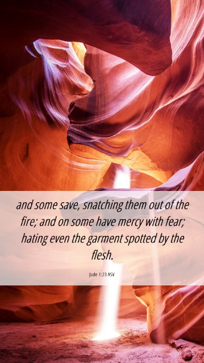 Picture 06 - Jude 1:23 ASV Mobile Phone Wallpaper - and some save, snatching them out of the fire; - Mobile Bible Verse Wallpaper