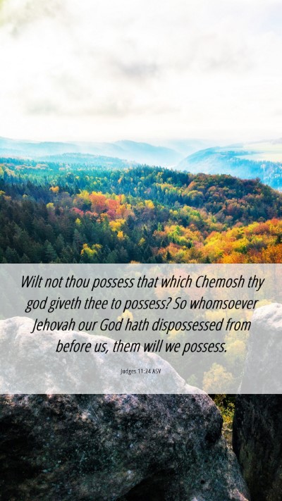 Picture 06 - Judges 11:24 ASV Mobile Phone Wallpaper - Wilt not thou possess that which Chemosh thy god - Mobile Bible Verse Wallpaper