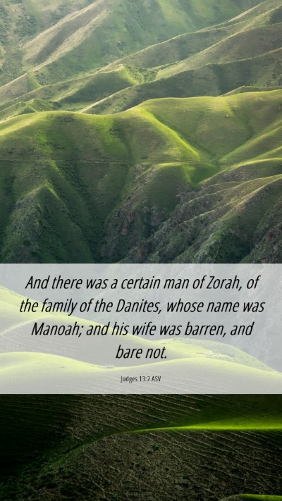Picture 06 - Judges 13:2 ASV Mobile Phone Wallpaper - And there was a certain man of Zorah, of the - Mobile Bible Verse Wallpaper