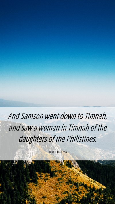 Picture 06 - Judges 14:1 ASV Mobile Phone Wallpaper - And Samson went down to Timnah, and saw a woman - Mobile Bible Verse Wallpaper