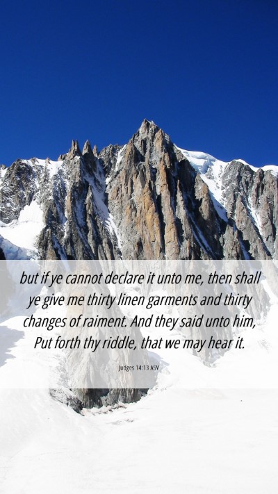 Picture 06 - Judges 14:13 ASV Mobile Phone Wallpaper - but if ye cannot declare it unto me, then shall - Mobile Bible Verse Wallpaper