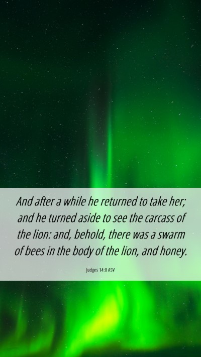Picture 06 - Judges 14:8 ASV Mobile Phone Wallpaper - And after a while he returned to take her; and he - Mobile Bible Verse Wallpaper