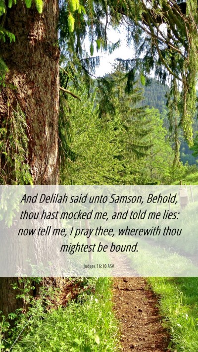 Picture 06 - Judges 16:10 ASV Mobile Phone Wallpaper - And Delilah said unto Samson, Behold, thou hast - Mobile Bible Verse Wallpaper