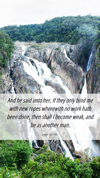 Picture 06 - Judges 16:11 ASV Mobile Phone Wallpaper - And he said unto her, If they only bind me with - Mobile Bible Verse Wallpaper