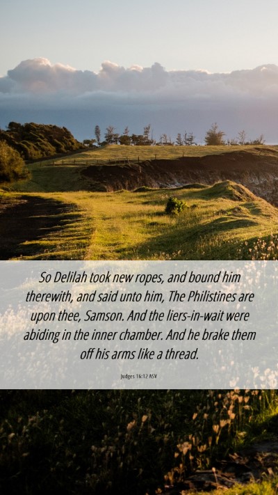 Picture 06 - Judges 16:12 ASV Mobile Phone Wallpaper - So Delilah took new ropes, and bound him - Mobile Bible Verse Wallpaper