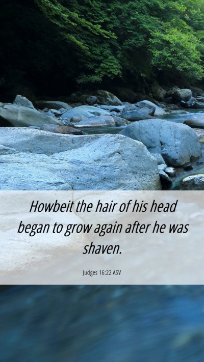Picture 06 - Judges 16:22 ASV Mobile Phone Wallpaper - Howbeit the hair of his head began to grow again - Mobile Bible Verse Wallpaper