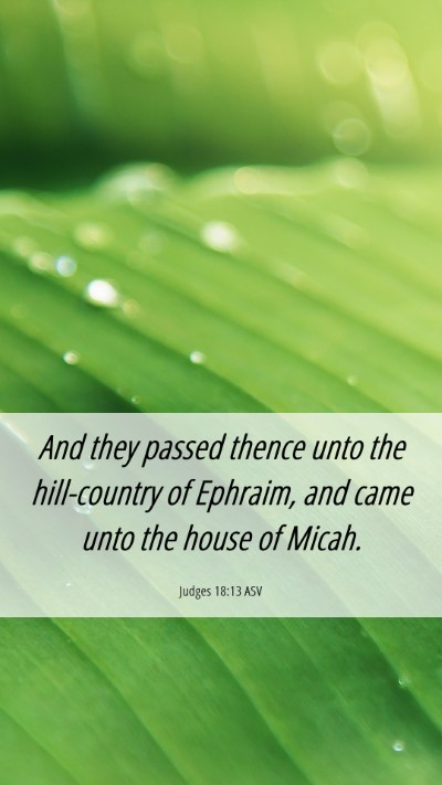 Picture 06 - Judges 18:13 ASV Mobile Phone Wallpaper - And they passed thence unto the hill-country of - Mobile Bible Verse Wallpaper